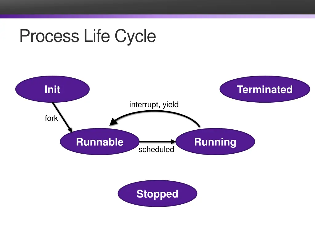 process life cycle 1