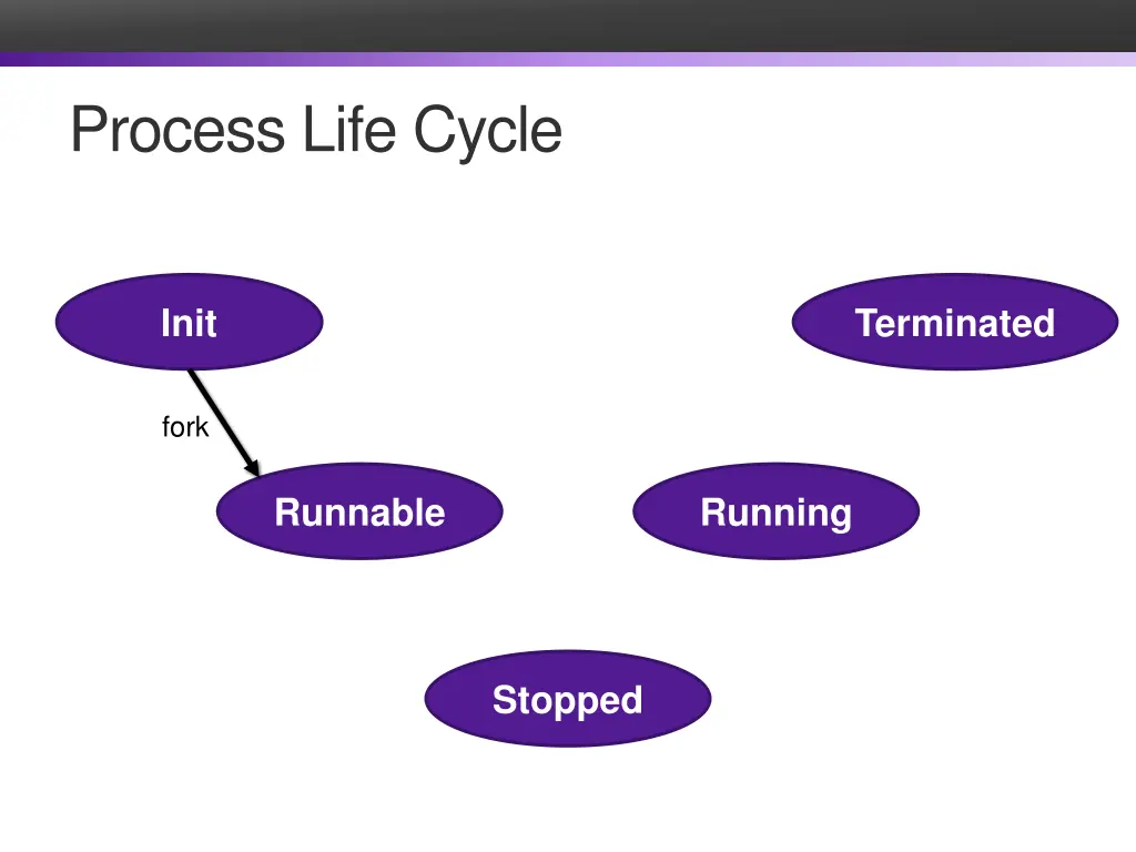 process life cycle