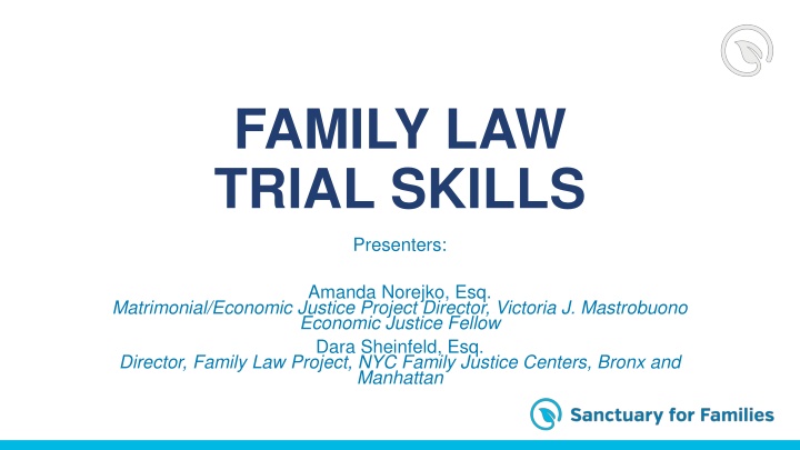 family law trial skills