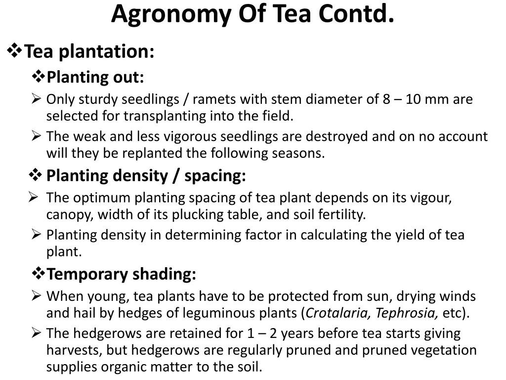 agronomy of tea contd tea plantation planting