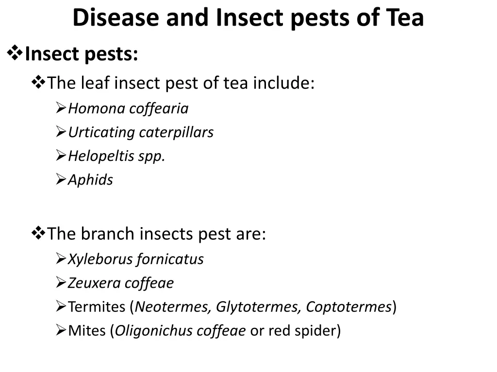 disease and insect pests of tea insect pests