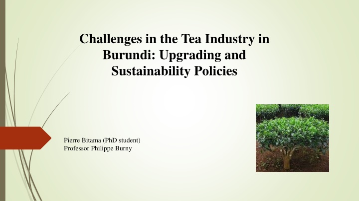 challenges in the tea industry in burundi