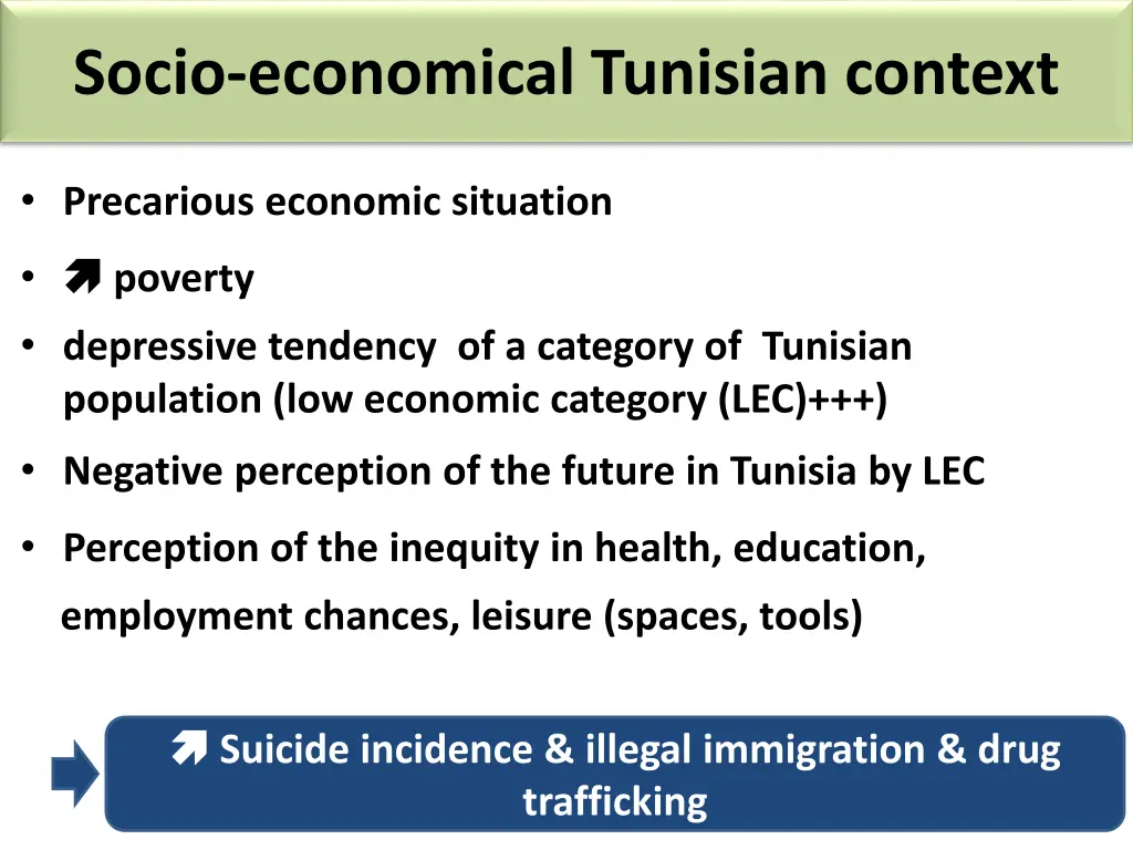 socio economical tunisian context 1