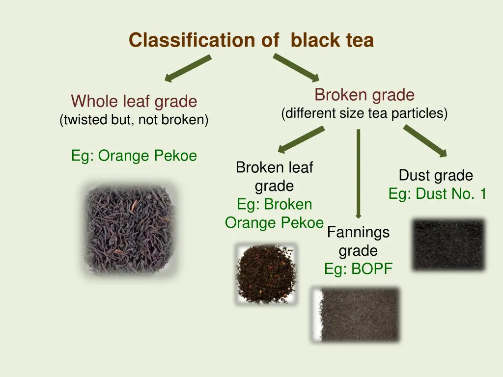 classification of black tea