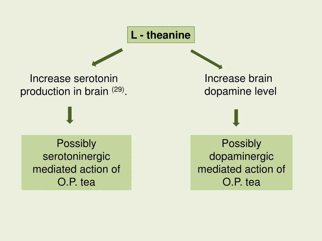 l theanine