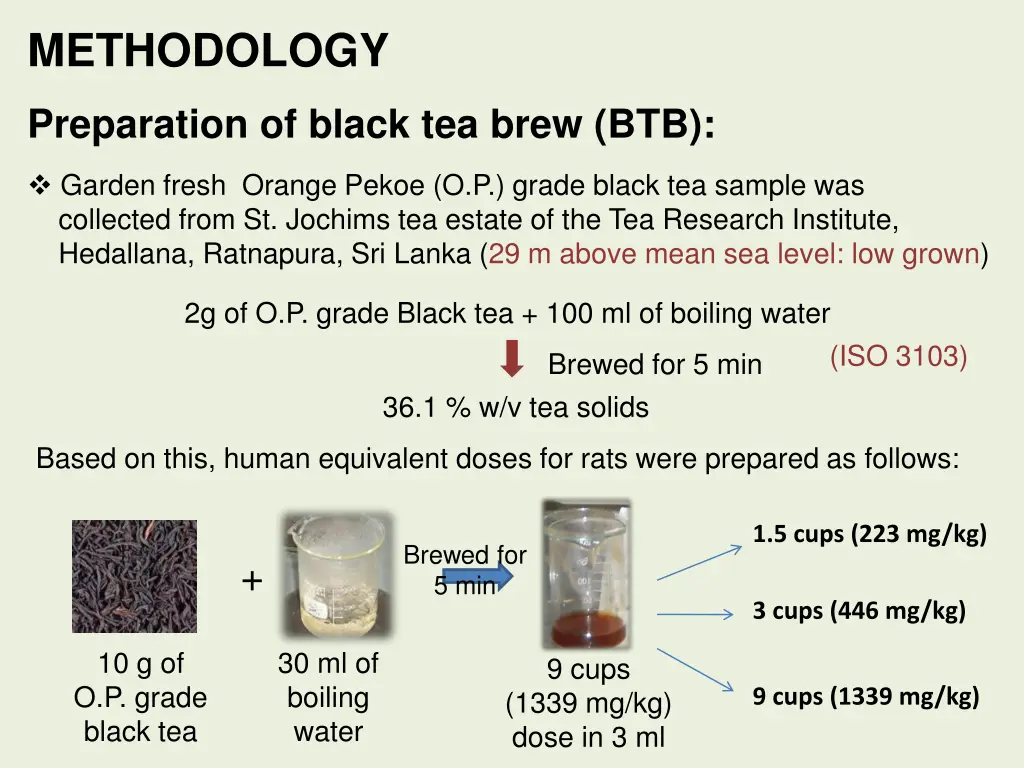 methodology