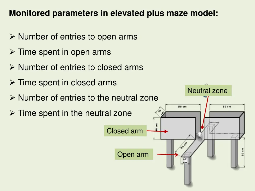 monitored parameters in elevated plus maze model