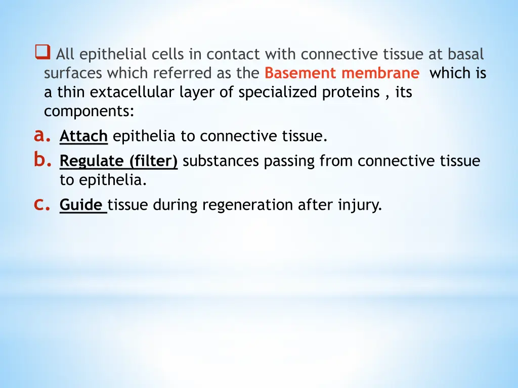 all epithelial cells in contact with connective