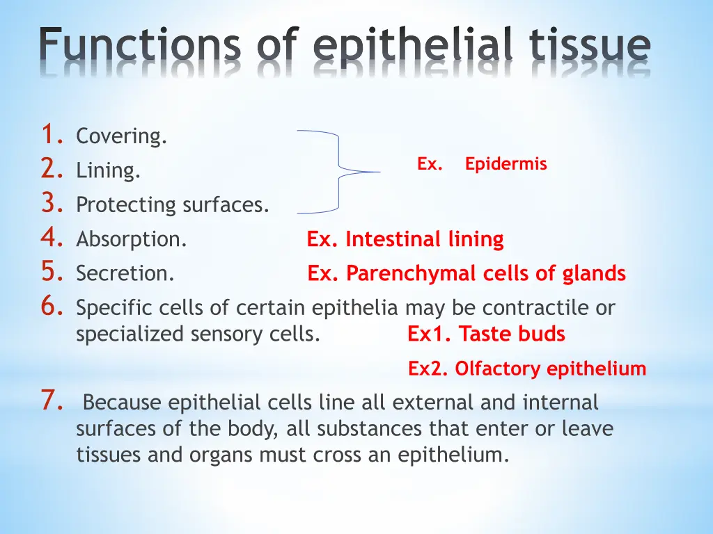 functions of epithelial tissue