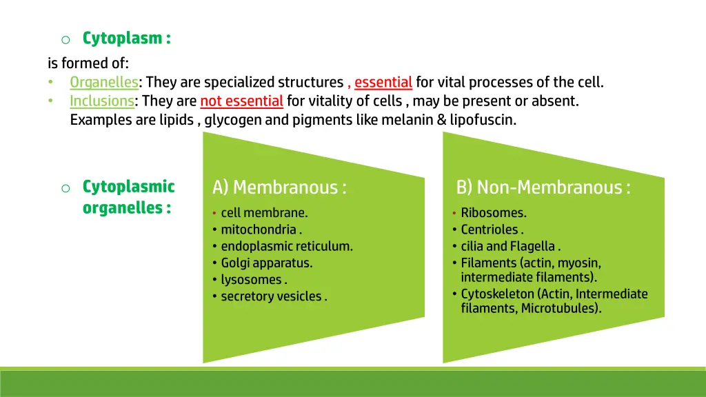 o cytoplasm