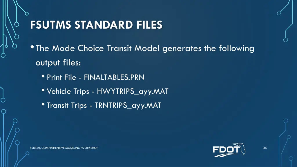 fsutms standard files