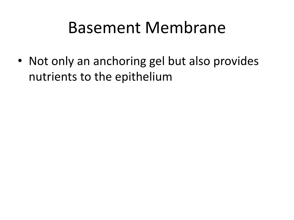 basement membrane 1