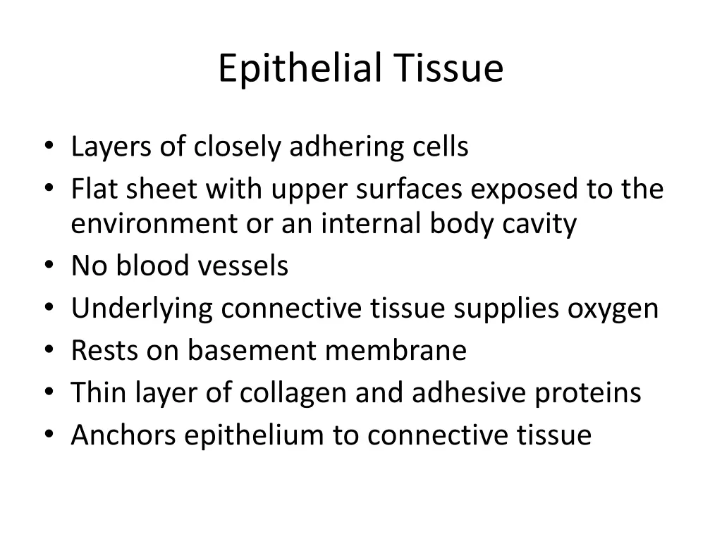 epithelial tissue 1