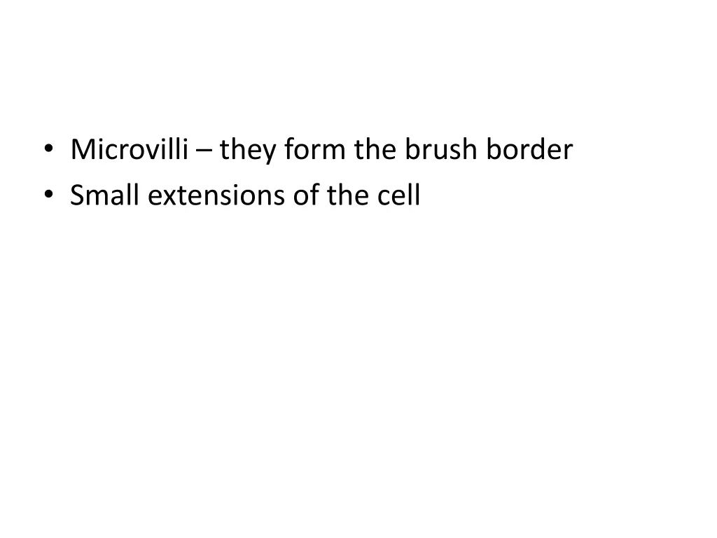 microvilli they form the brush border small