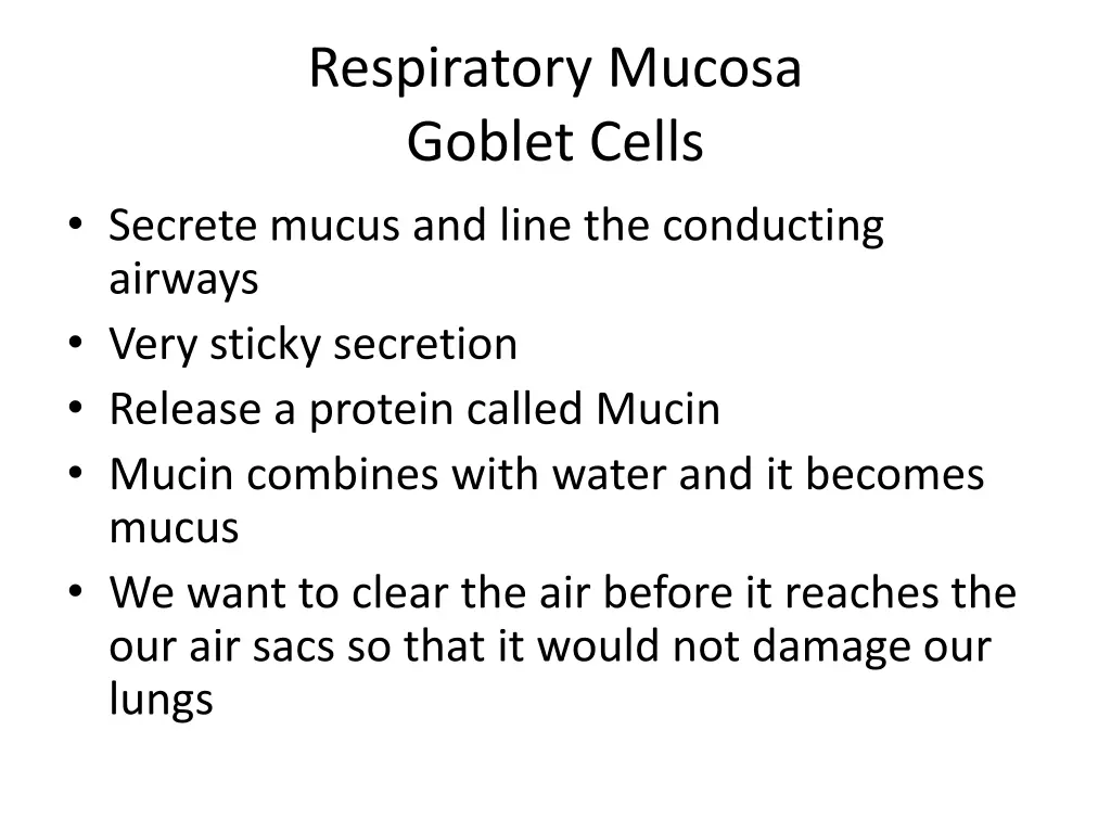 respiratory mucosa goblet cells secrete mucus