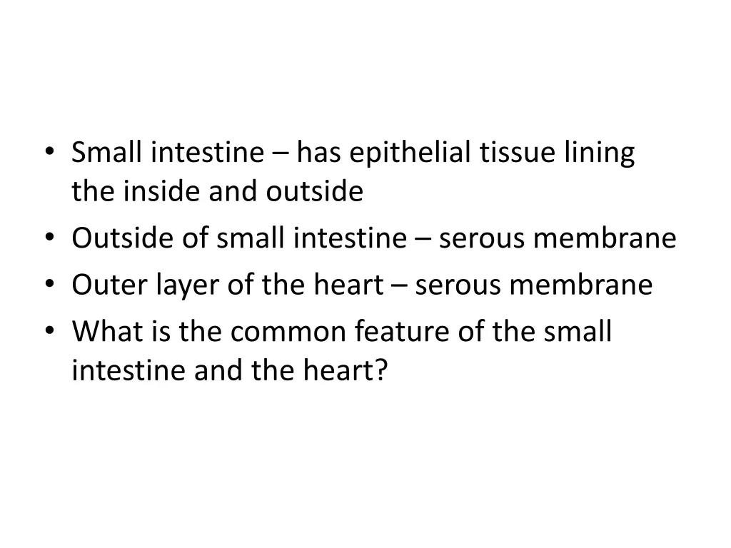 small intestine has epithelial tissue lining