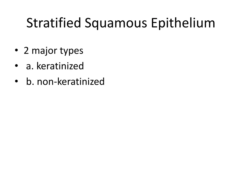 stratified squamous epithelium