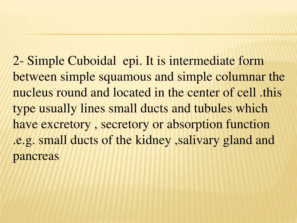 2 simple cuboidal epi it is intermediate form