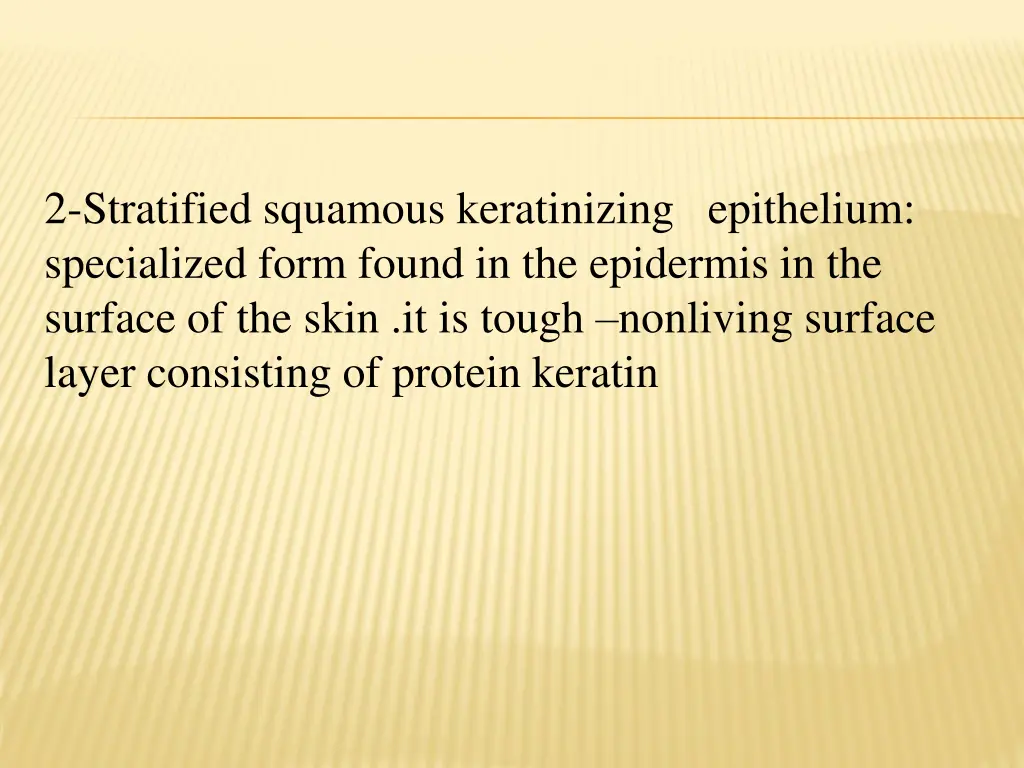 2 stratified squamous keratinizing epithelium