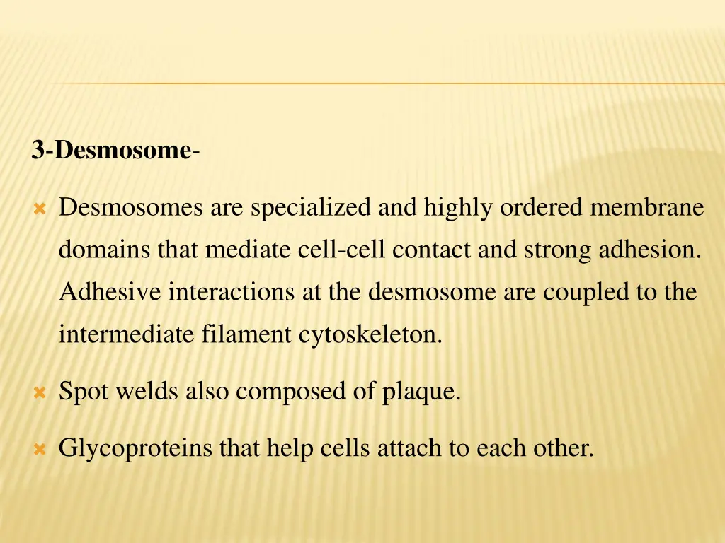 3 desmosome