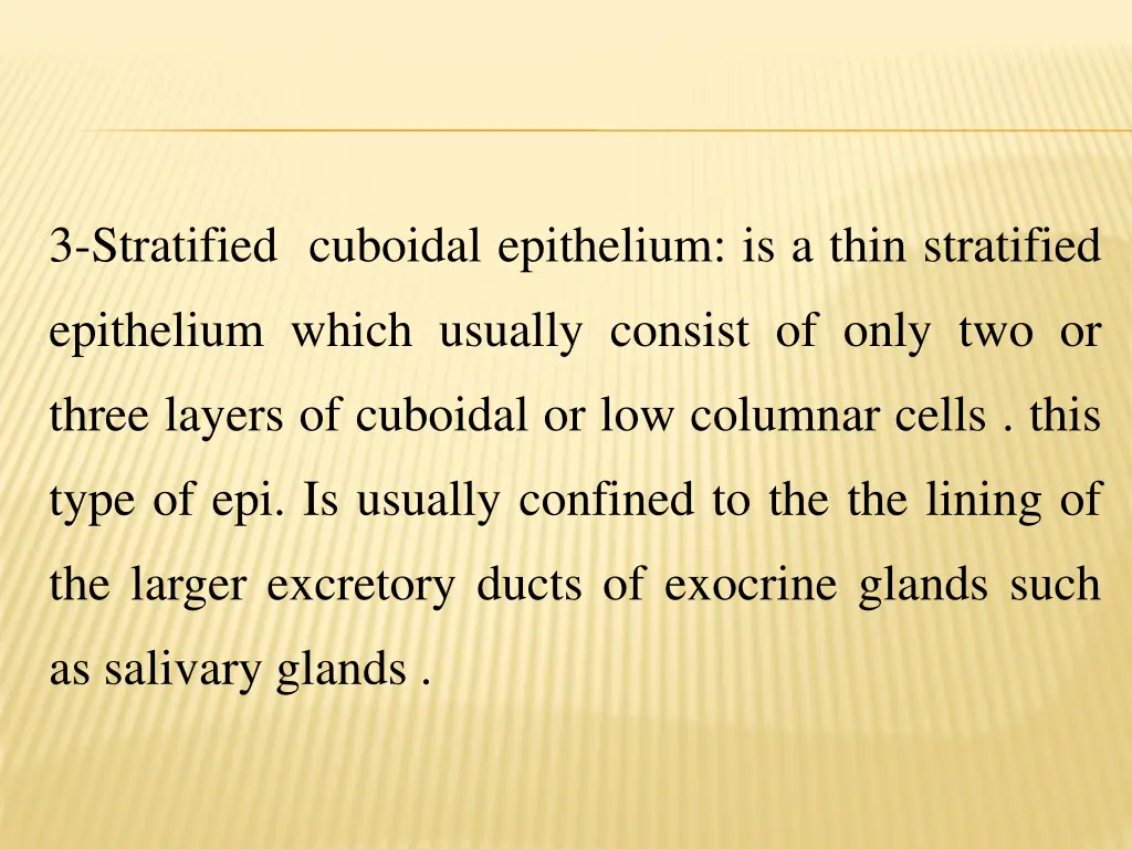 3 stratified cuboidal epithelium is a thin