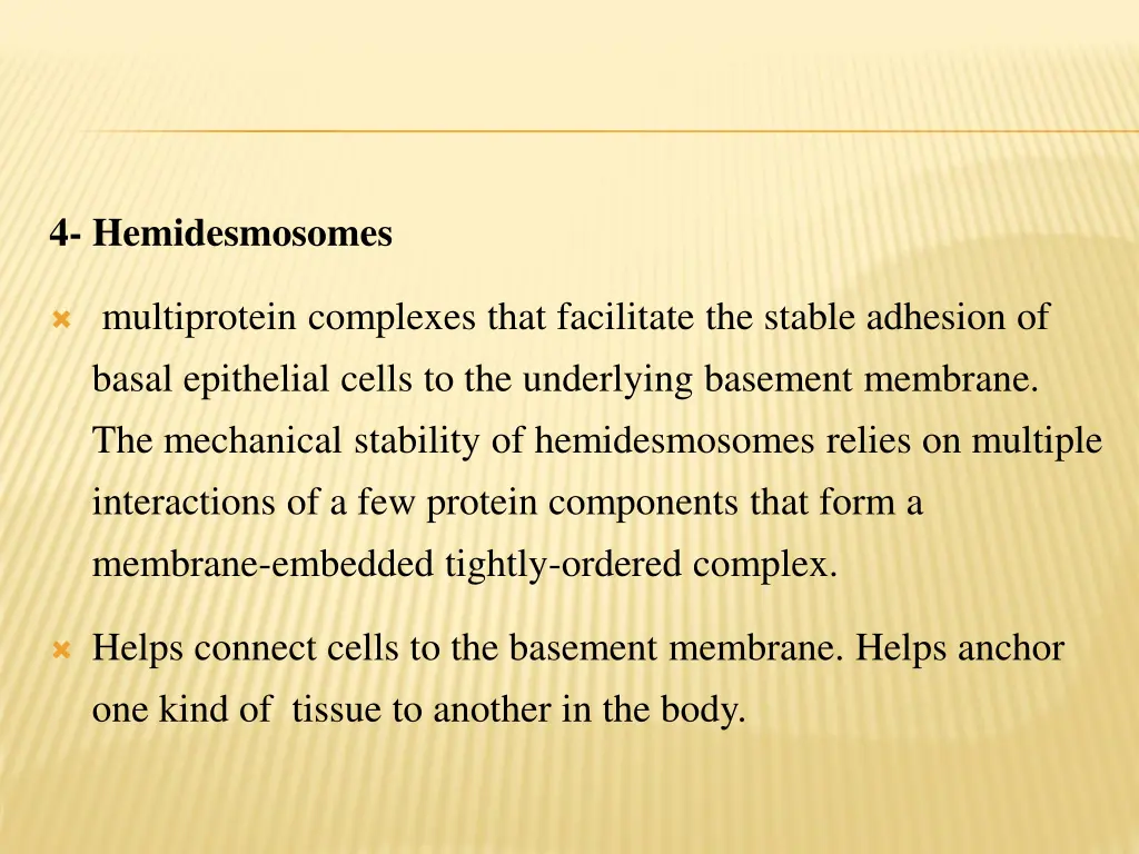 4 hemidesmosomes