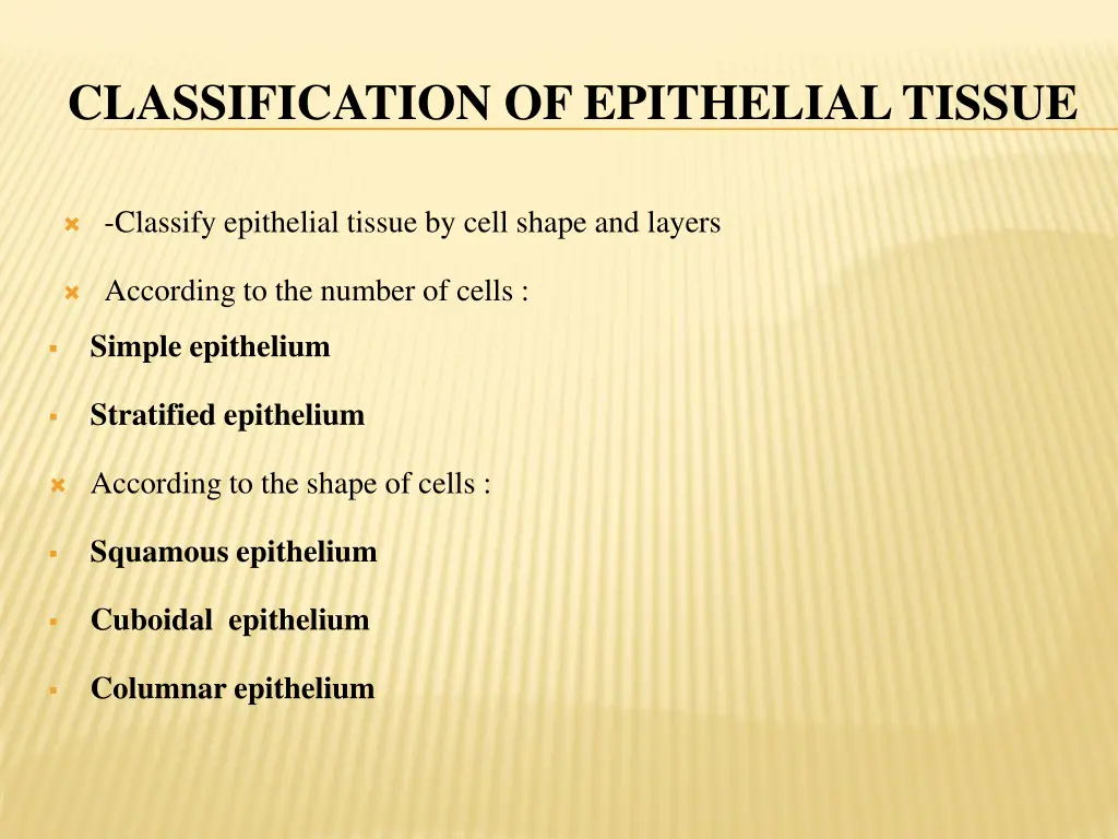 classification of epithelial tissue