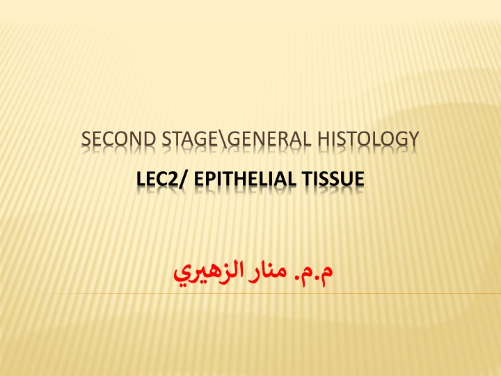 second stage general histology