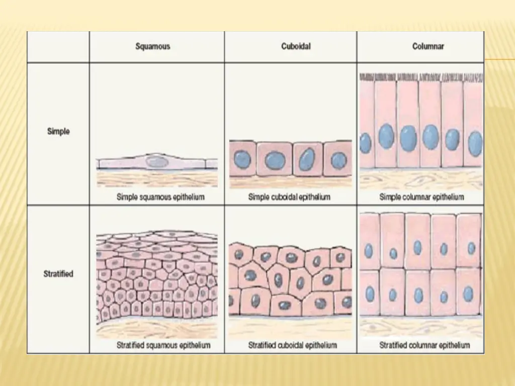 slide6