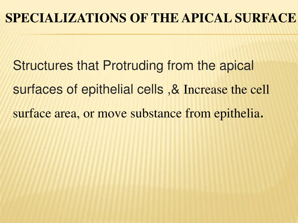 specializations of the apical surface