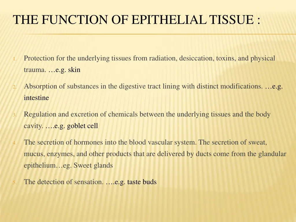 the function of epithelial tissue