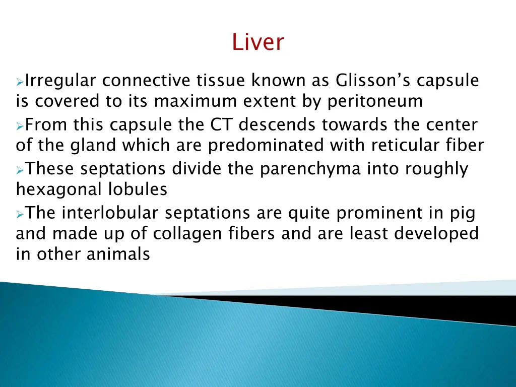 irregular connective tissue known as glisson