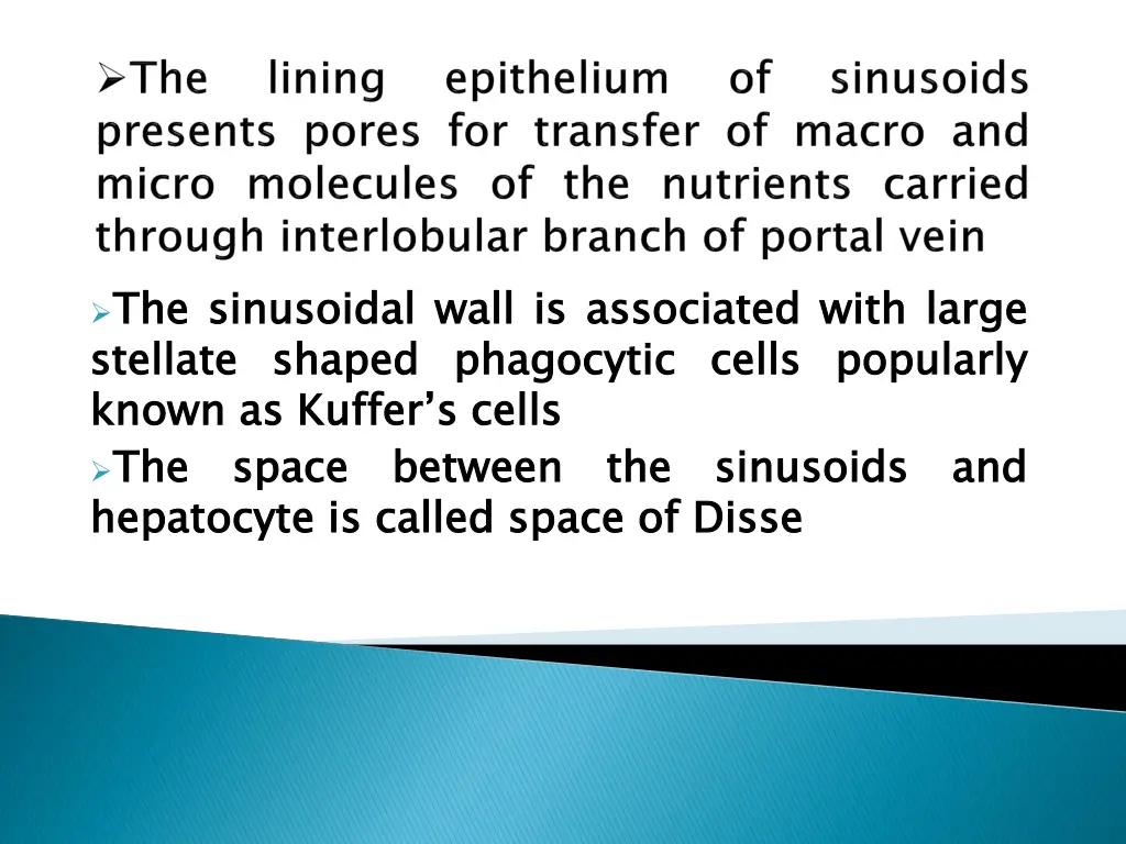 the stellate known the hepatocyte