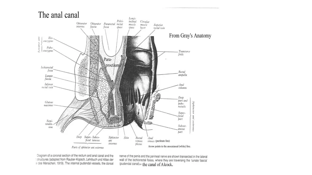 slide5