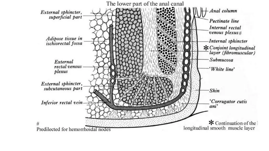 slide6