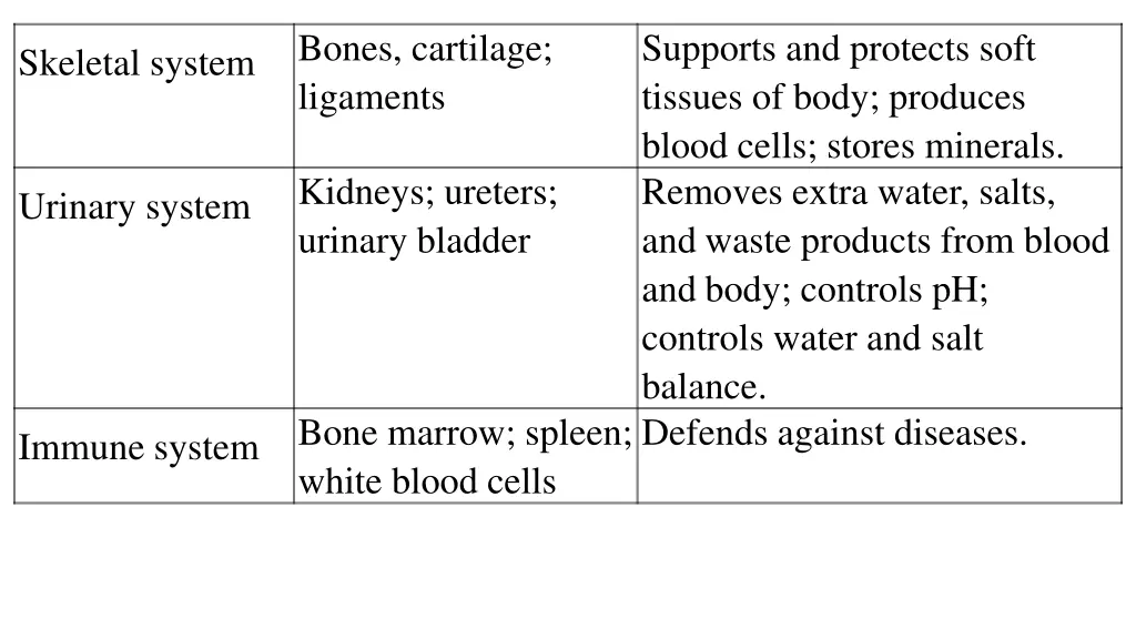 bones cartilage ligaments