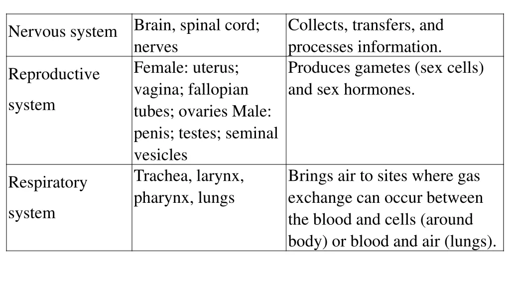 brain spinal cord nerves female uterus vagina