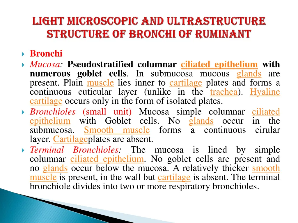 bronchi mucosa pseudostratified columnar ciliated