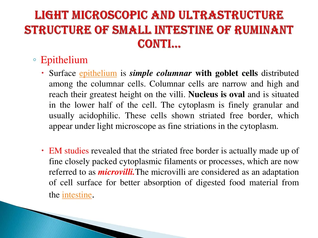 epithelium surface epithelium is simple columnar