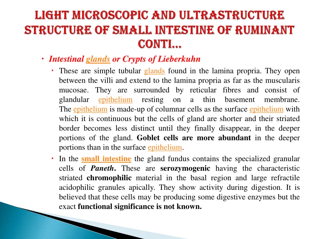 intestinal glands or crypts of lieberkuhn these