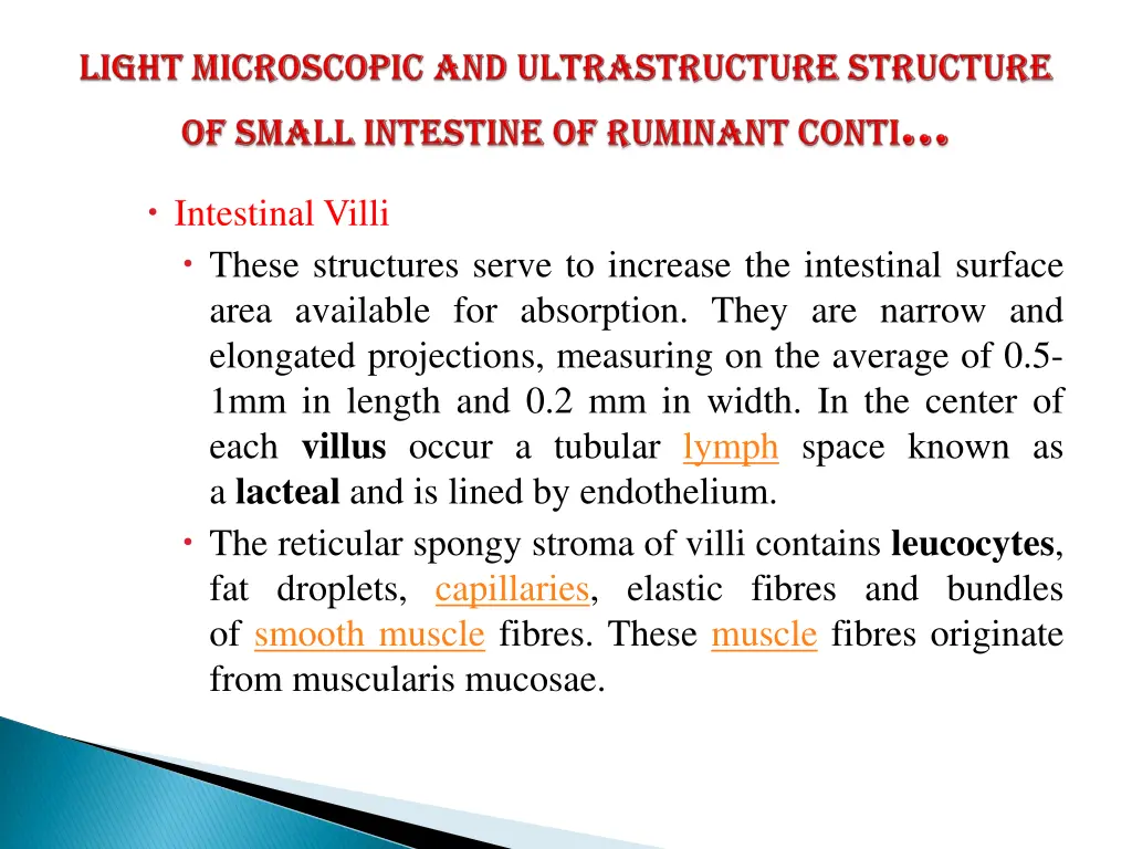 intestinal villi these structures serve