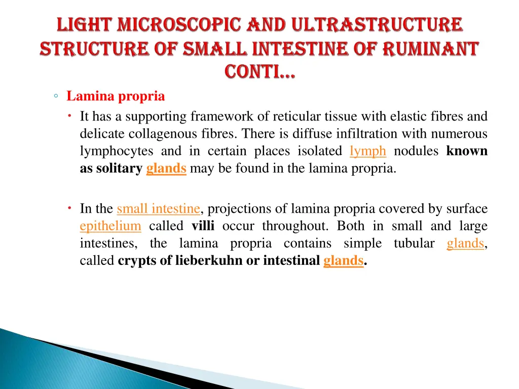 lamina propria it has a supporting framework