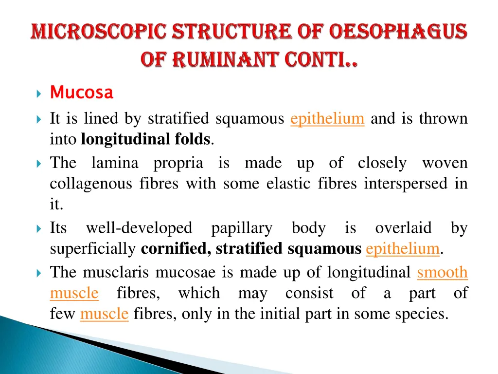 mucosa it is lined by stratified squamous