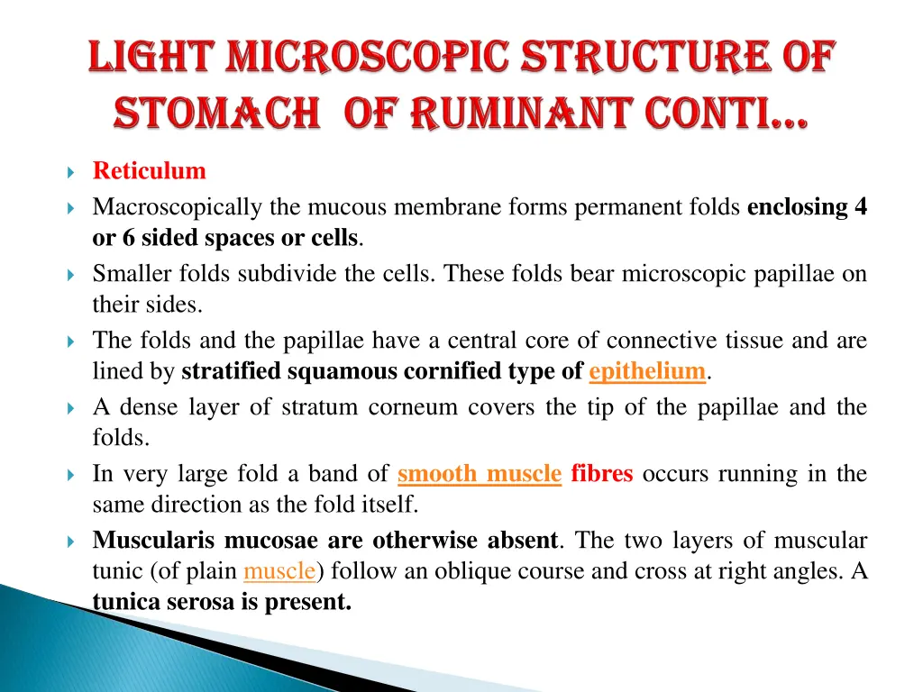 reticulum macroscopically the mucous membrane