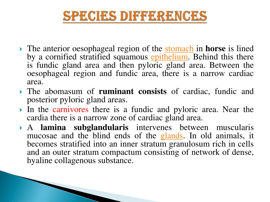 species differences