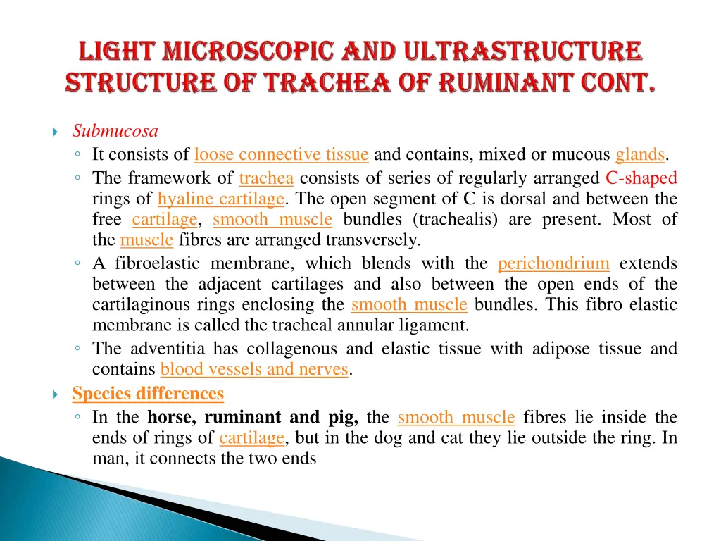 submucosa it consists of loose connective tissue