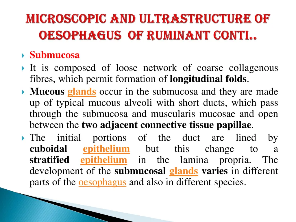 submucosa it is composed of loose network