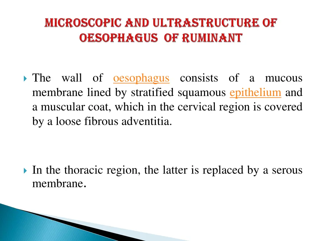 the wall of oesophagus consists of a mucous