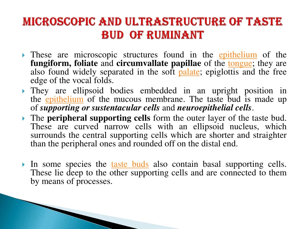 these are microscopic structures found