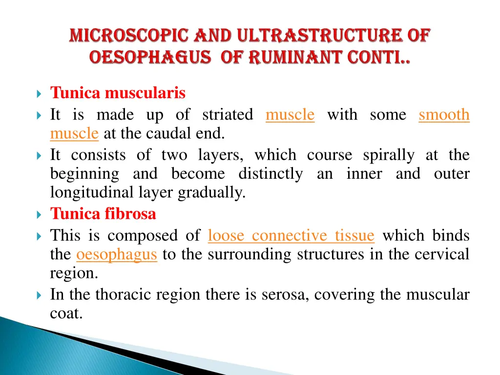 tunica muscularis it is made up of striated